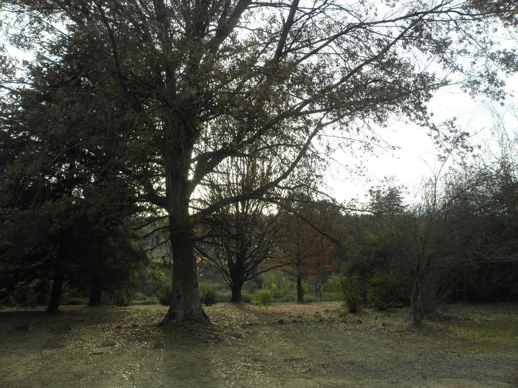 Little Acres Drakensberg Accommodation Champagne Valley 外观 照片